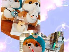 -柴犬高等学院·狗咖·柴犬售卖·宠物训练