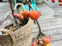 -萤火虫咖啡(后海店)