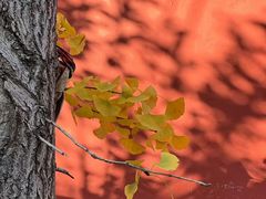 -青州市云门山风景区