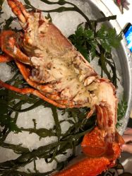 -福楼FLO·法餐婚宴(霄云路店)