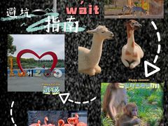 -武汉动物园