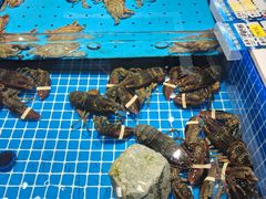 -渔港甄宴·海鲜·地标烟台菜(金沙滩店)