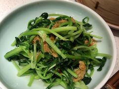 邹山腐皮鸡毛菜-竹外桃花·江南小酒馆(SKP·S店)