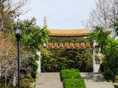 -刘公岛景区