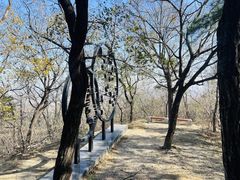 -北京鹫峰国家森林公园