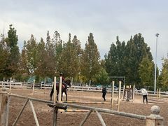 -北京群众马术培训基地