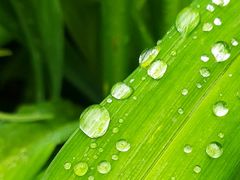 -白塘生态植物园