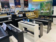 -柏斯琴行(汾阳店)