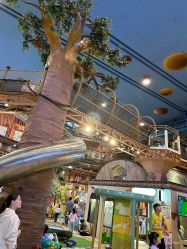 -卡通尼·Safari非洲探索乐园·生日会(金桥国际商业广场店)