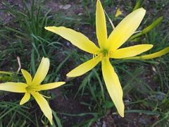 -长春公园(普阳街道)