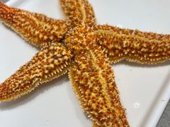 -大锅强·蒸海鲜青岛菜(吾悦广场店)