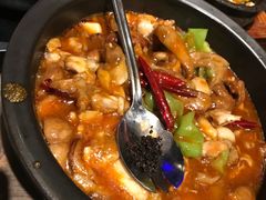 黑松露牛肝菌焖牛蛙-云海肴·汽锅鸡·云南菜(美罗城店)