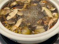 -蘑统田下·野生菌火锅