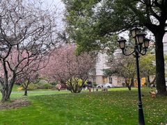 -上海兴国宾馆香樟园西餐厅