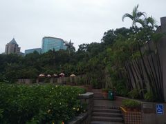 -九龙公园