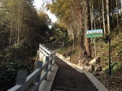 -龙井村