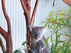 -费瑟代尔野生动物园