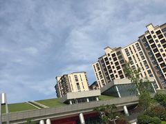 -汉堡王(徐汇绿地缤纷店)