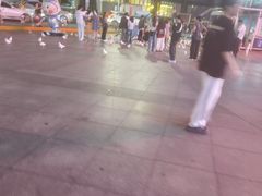 -广州长隆国际大马戏