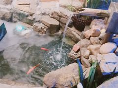 -和枫(众意路店)