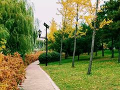 -东北大学(秦皇岛分校)