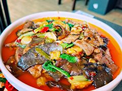 -土桥手掌鸡·26年灌县老味道(都江堰店)