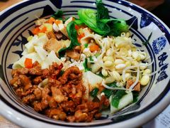 油泼面-陕老顺肉夹馍油泼面(湖东店)