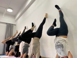 点击看大图 -亚太瑜伽普拉提学院