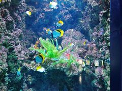 -海合安青岛极地海洋公园