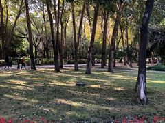 -长春公园(普阳街道)