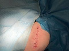 -菲尔斯特宠物医院