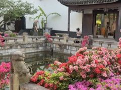 -上海醉白池公园