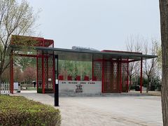 -大望京公园