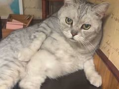 -隅cafe(傅厚岗店)