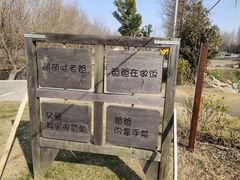 -前小桔亲子创意农场·草莓采摘·露营烧烤