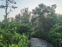 -仙岳公园