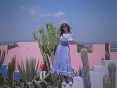 -漳州滨海火山岛自然生态风景区