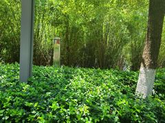 -长江文明馆