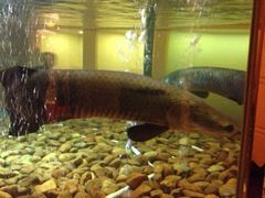 iphone_upload_pic-肇庆奥威斯酒店