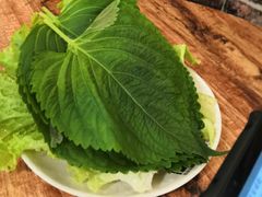 -大派屋