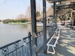 -黄兴公园