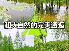 -白鹭湾湿地公园