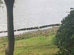 -长广溪湿地公园