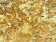 -阳江餐厅·30年老字号·粤菜海鲜大排档