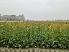-中国天府农业博览园