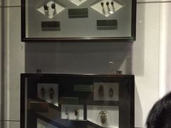 -上海昆虫博物馆