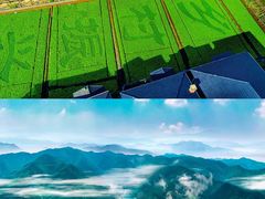 -浙西大峡谷