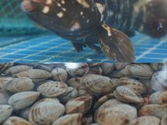 -三亚火车头万人海鲜广场