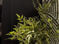 -华夏良子·足道SPA艾灸(金皇大厦店)