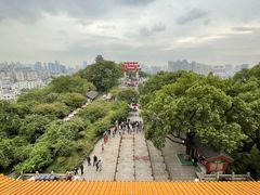 -黄鹤楼公园(黄鹤楼)